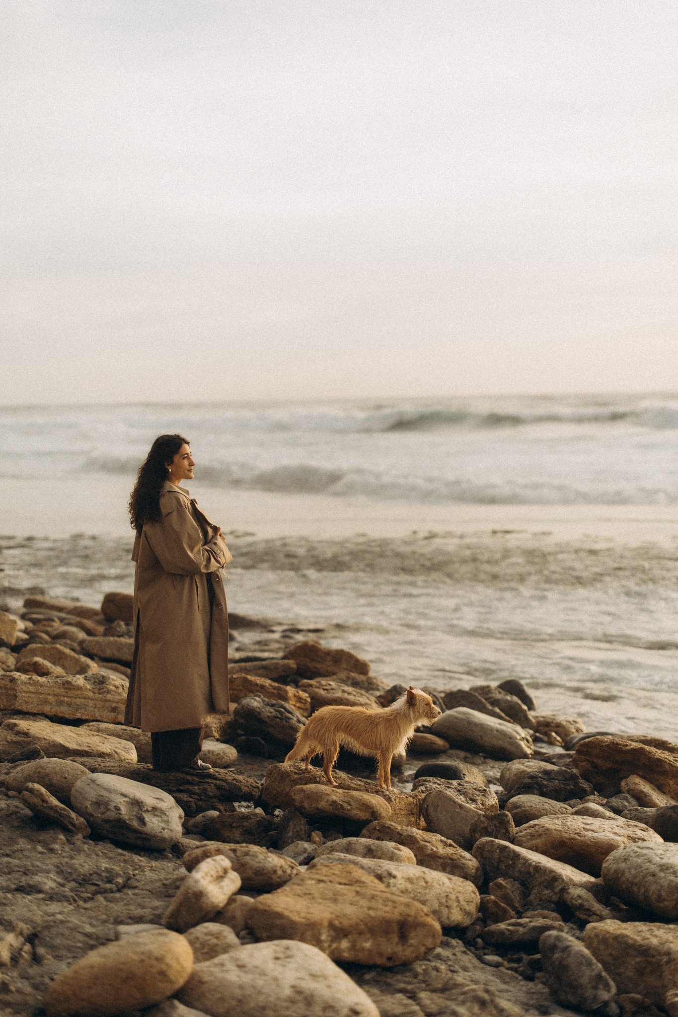 Ruhiger Moment am Meer mit Hund